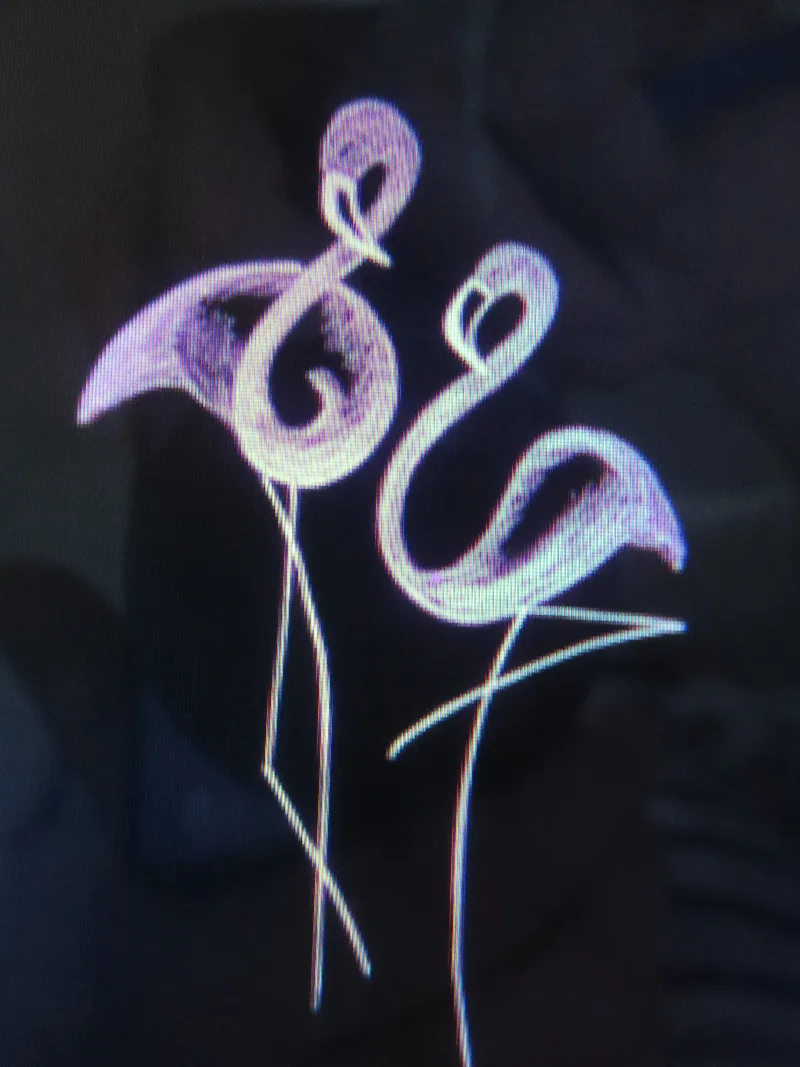 פירות